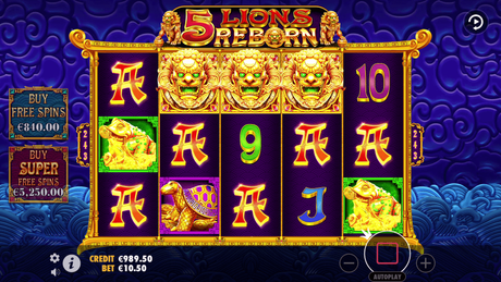 Play 5 Lions Reborn Online at Midnite Casino - Midnite