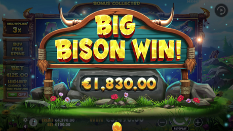 Bison Casino Nyeremény