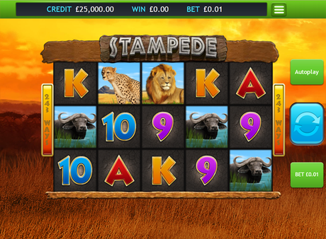 Play Stampede V93 Online at Midnite Casino - Midnite