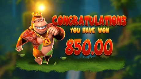 Kong casino bonus bilde
